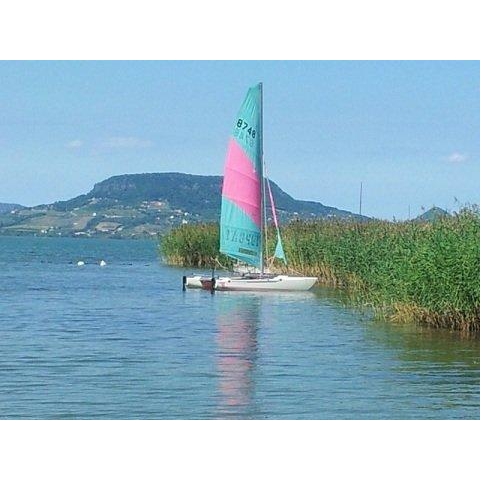 Katamaran TopCat F2 Streamcut Deutschland Binnen Bild 1